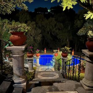 クエルナバカにあるVilla Colonial los Sabinosの鉢植えの植物が植えられた庭園、スイミングプール