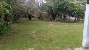 ein Grasfeld mit Bäumen im Hintergrund in der Unterkunft Cabaña Nde Roga in Colonia Carlos Pellegrini