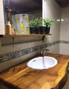 baño con encimera de madera y lavamanos en Don Martin en El Bolsón