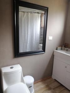 La salle de bains est pourvue de toilettes blanches et d'un miroir. dans l'établissement La Serena Cabaña de campo entre cactus y colibríes, à La Serena