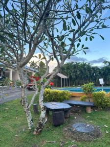 a tree and a bench next to a pool at Ambitious Apartment Lot 7 in Nadi