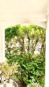 Giardino di B2 A private room in Naperville downtown with desk and Wi-Fi near everything