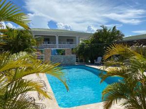 a swimming pool in front of a house with palm trees at El Flamingo Beach Club in Manati
