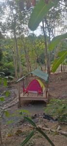 LidliddaEastdee Camping Ground的帐篷旁边有人