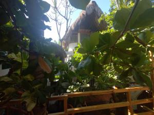 un jardin avec des plantes vertes et une maison en arrière-plan dans l'établissement Bambú Ecocabañas, à San Agustinillo