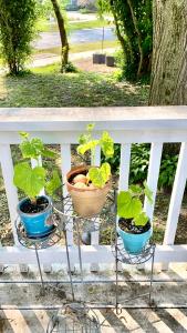 Giardino di B3 A private room in Naperville downtown with desk and Wi-Fi near everything