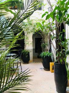 Zahrada ubytování Riad Al Mamoune