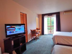 TV a/nebo společenská místnost v ubytování Hotel Alila