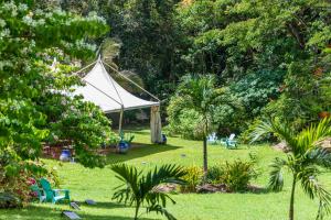 Zahrada ubytování Martinique Treehouse + 37 fotografií