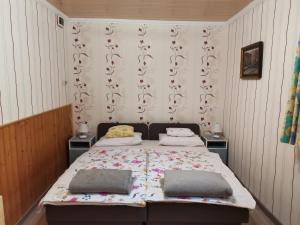 a bedroom with a bed with two pillows on it at Sasvár Vendégház in Parádsasvár