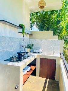 坦加拉的住宿－Tropical Plant Villa - Tangalle，厨房配有水槽和带炉灶的台面