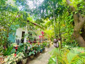 A garden outside Priyavimana resort
