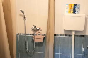 a bathroom with a shower with a toilet and a sink at Skalar studio in Novi Sad +13 photos