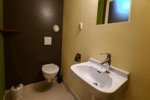 a bathroom with a sink and a toilet and a mirror at De Opkikker 10 persoons vakantiehuis met hottub in Giethoorn