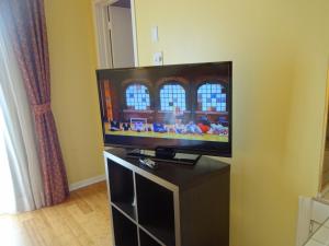 TV a/nebo společenská místnost v ubytování Hotel Alila