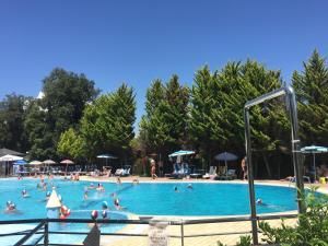 a group of people swimming in a swimming pool at Camping Paradiso in Viareggio