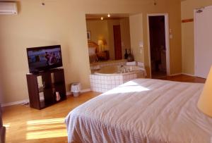 TV a/nebo společenská místnost v ubytování Hotel Alila