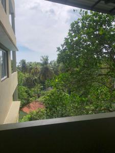 una ventana con vistas a un árbol en Hotel Paradiso, en Unawatuna