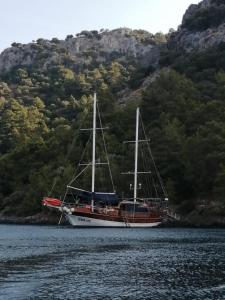 a boat floating in the water near a mountain at cemal efe in Fethiye