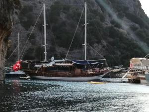 a boat is docked in the water near a mountain at cemal efe in Fethiye