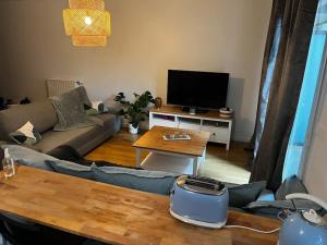 ein Wohnzimmer mit einem Sofa und einem TV in der Unterkunft Grand studio dans résidence récente in Vitry-sur-Seine