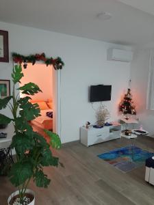 TV a/nebo společenská místnost v ubytování Apartman Jass