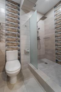 La salle de bains est pourvue de toilettes et d'une douche à l'italienne. dans l'établissement Luxury flat near Opera, à Lviv