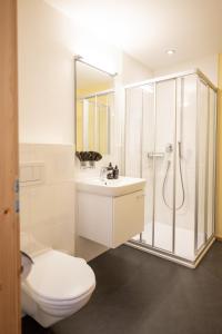 福丹的住宿－Chasa Bazzell，浴室配有卫生间、淋浴和盥洗盆。