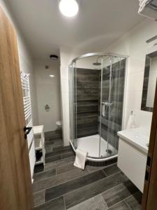 a bathroom with a shower and a tub and a sink at Apartmány VESNA in Nova Ves nad Nisou