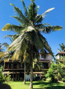 a palm tree in front of a building at Candle House in Kalutara North