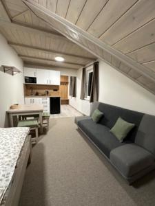 a living room with a couch and a kitchen at Apartmány VESNA in Nova Ves nad Nisou