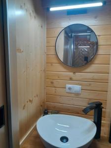 a bathroom with a white sink and a mirror at Natura Tiny House in Mărişel