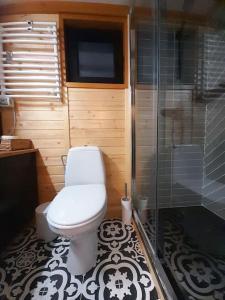 a bathroom with a toilet and a shower at Natura Tiny House in Mărişel