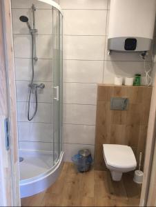 Kamar mandi di Domki Letniskowe Ratownik