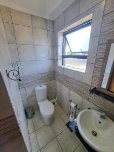 a bathroom with a toilet and a sink at Aviators Retreat B&B in Krugersdorp