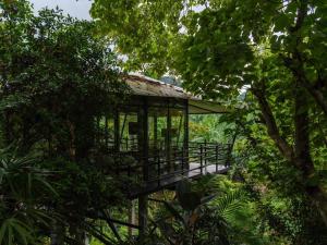 uma casa na árvore no meio da floresta em Kachonghills Tented Resort Trang em Trang