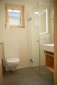 シュクオルにあるChasa Avant Muglinsのバスルーム(トイレ、シャワー、シンク付)