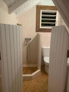 łazienka z prysznicem i toaletą w obiekcie Joli appartement indépendant au calme. w mieście Marigot