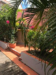 einen Garten mit Topfpflanzen und Blumen auf einem Gehweg in der Unterkunft Joli appartement indépendant au calme. in Marigot