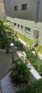une cour avec des palmiers en face d'un bâtiment dans l'établissement Espaçoso apartamento a 50mt do mar, à Morro de São Paulo
