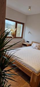 1 dormitorio con cama y planta en Royal 111 en Kołobrzeg