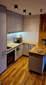 Köök või kööginurk majutusasutuses Royal 111