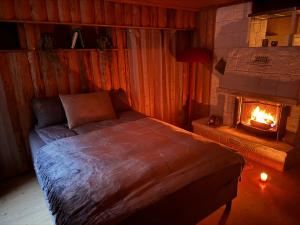 1 dormitorio con 1 cama y chimenea con chimenea en Villa with pool and sauna en Porsgrunn