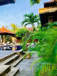 ein Resort mit einem Pool und Palmen in der Unterkunft Pondok Baruna Garden in Nusa Lembongan