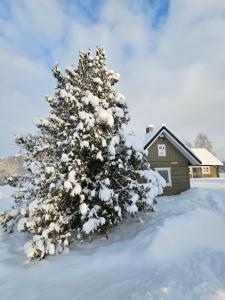 Gallery image of Jõesuu saunamaja in Valga