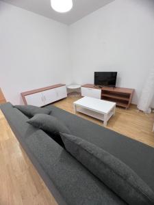 a living room with a couch and a tv at Apartamento en Sabiñánigo para grupos con amplia y soleada terraza in Huesca