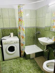a bathroom with a washing machine and a sink at Apartament Soseaua Stefan cel mare in Bucharest