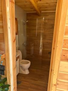 a bathroom with a toilet and a shower at Zaovinska idila in Bjeluša