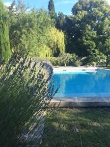 ein großer Pool in einem Hof neben einem Feld in der Unterkunft Authentique Mas avec piscine et pool house in Mouriès