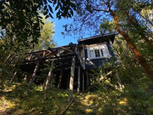 ein Baumhaus mitten im Wald in der Unterkunft La Casita del Bosque in Castro